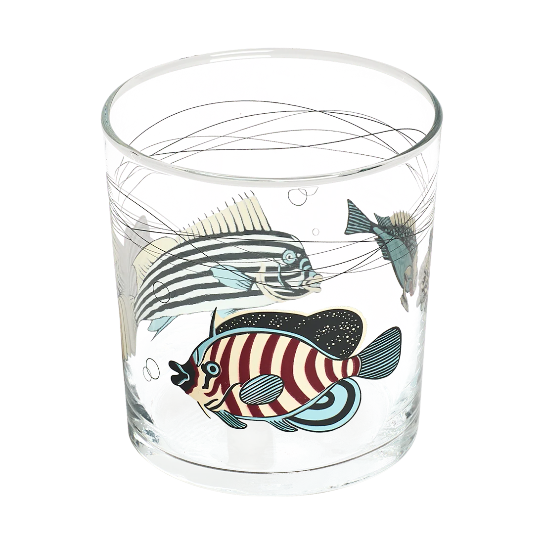 Museum Fish Stripes 12.17oz - Image 3