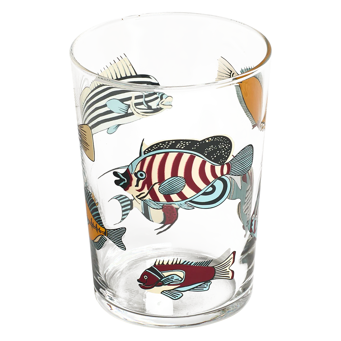 Museum Fish 17.24oz - Image 3